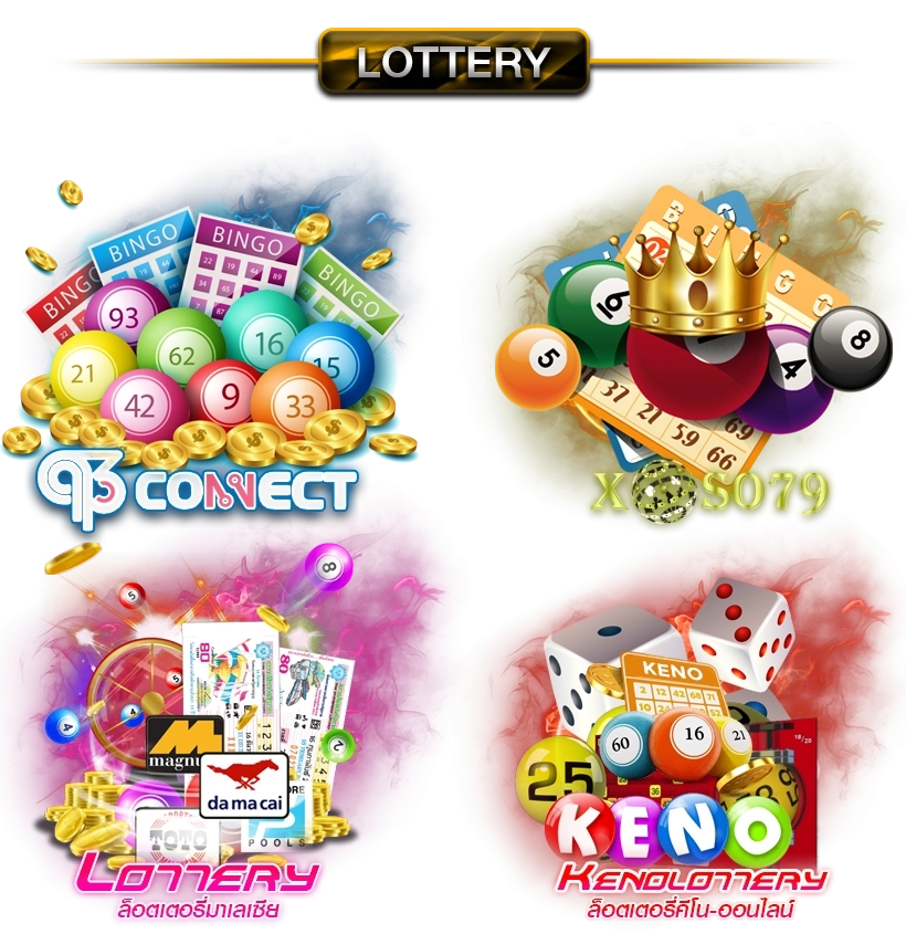  lupee55 banner-banner-lotto