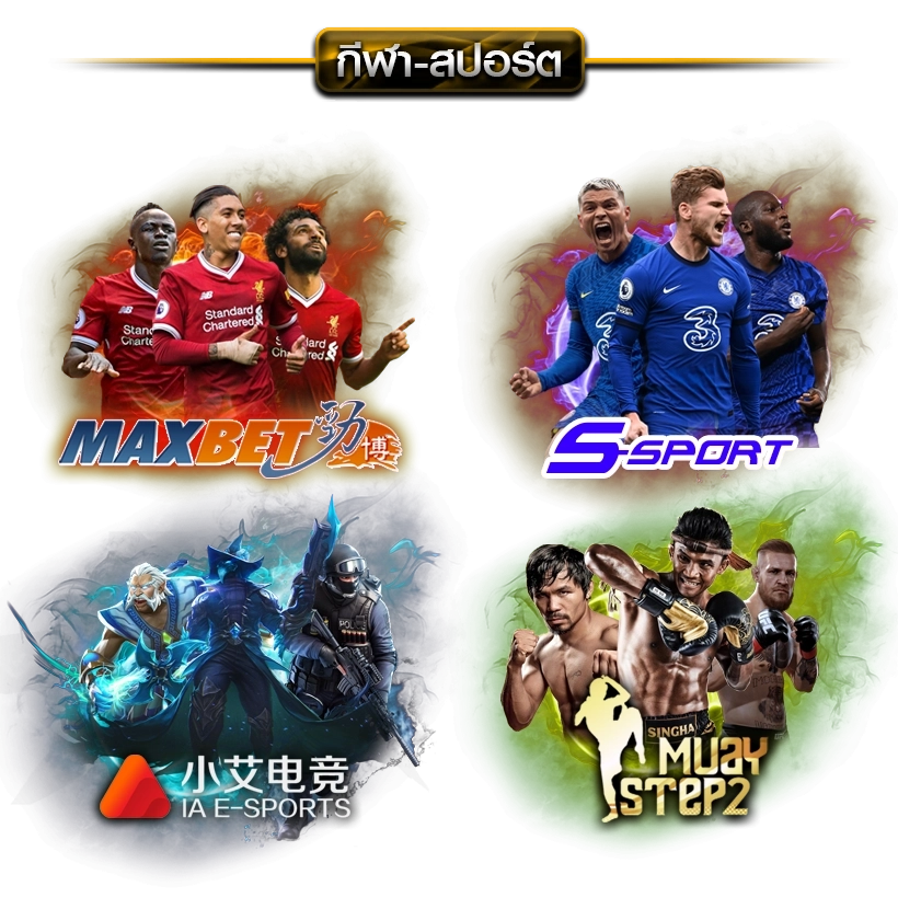  lupee55 banner-sport